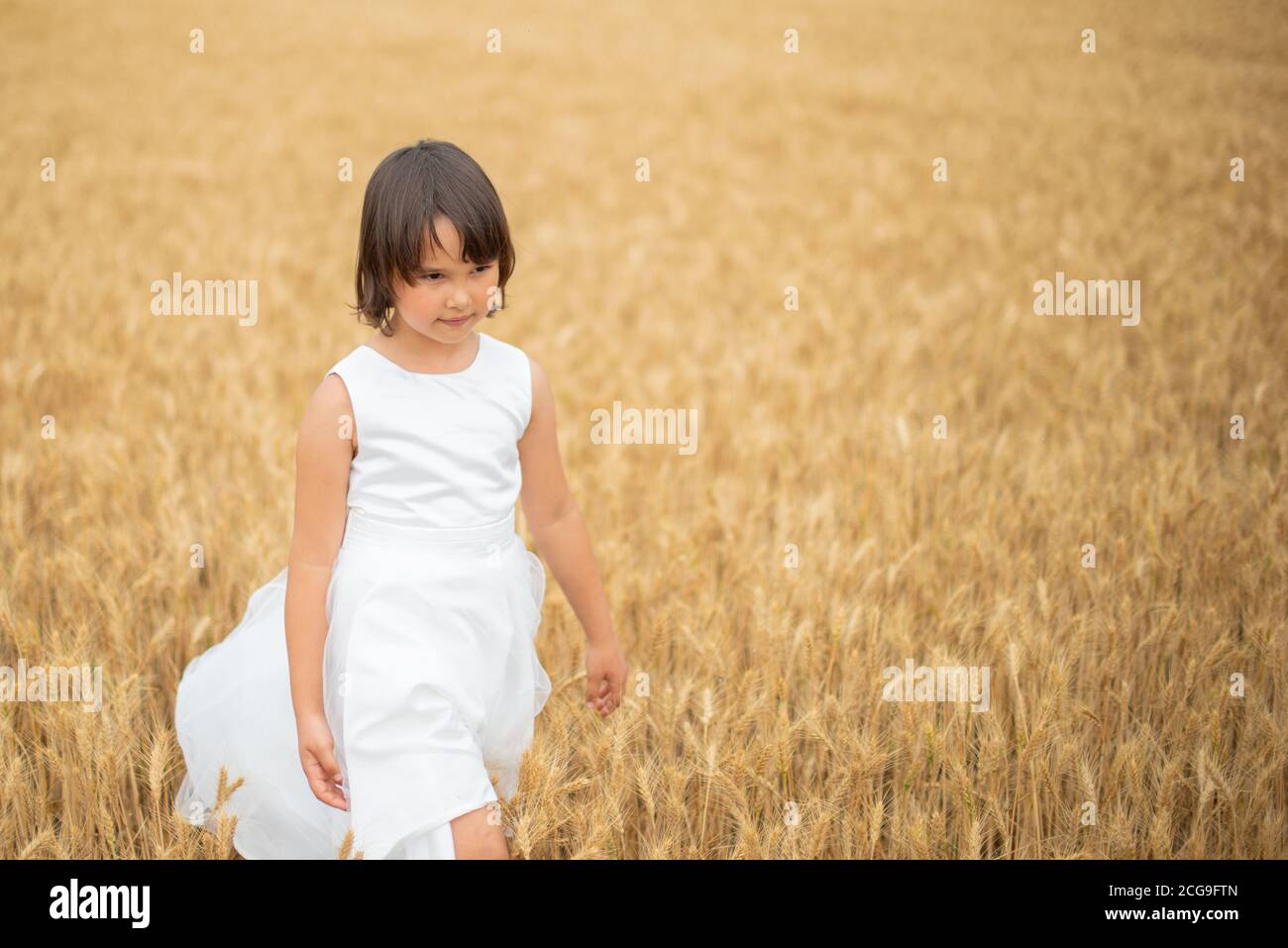 Cute little girl playing on wheat field Stock Photo - Alamy