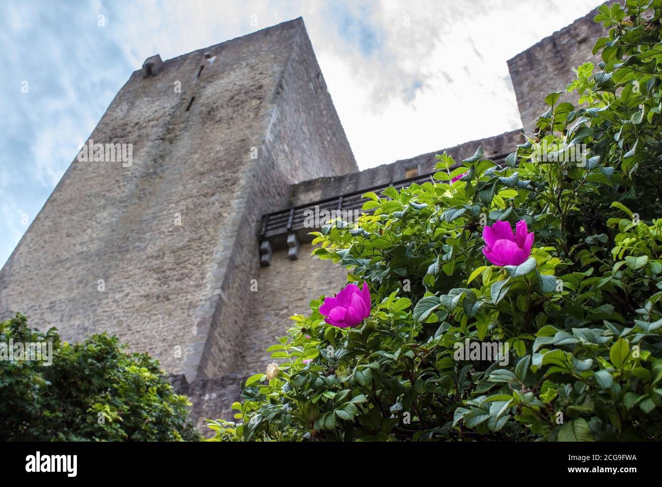 The old historical tower of castle Landstejn in the Czech Republic Stock Photo