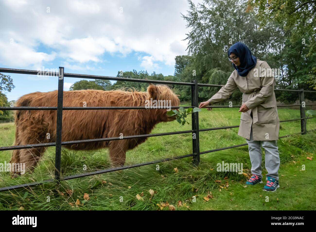 Pollok centre hires stock photography and images Alamy