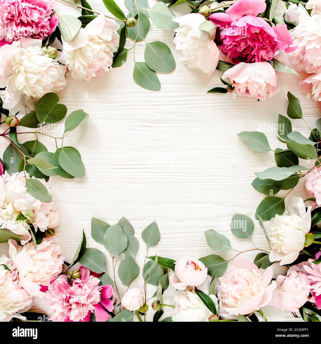 frame made of beautiful pink peonies on white background. Flat lay, top ...