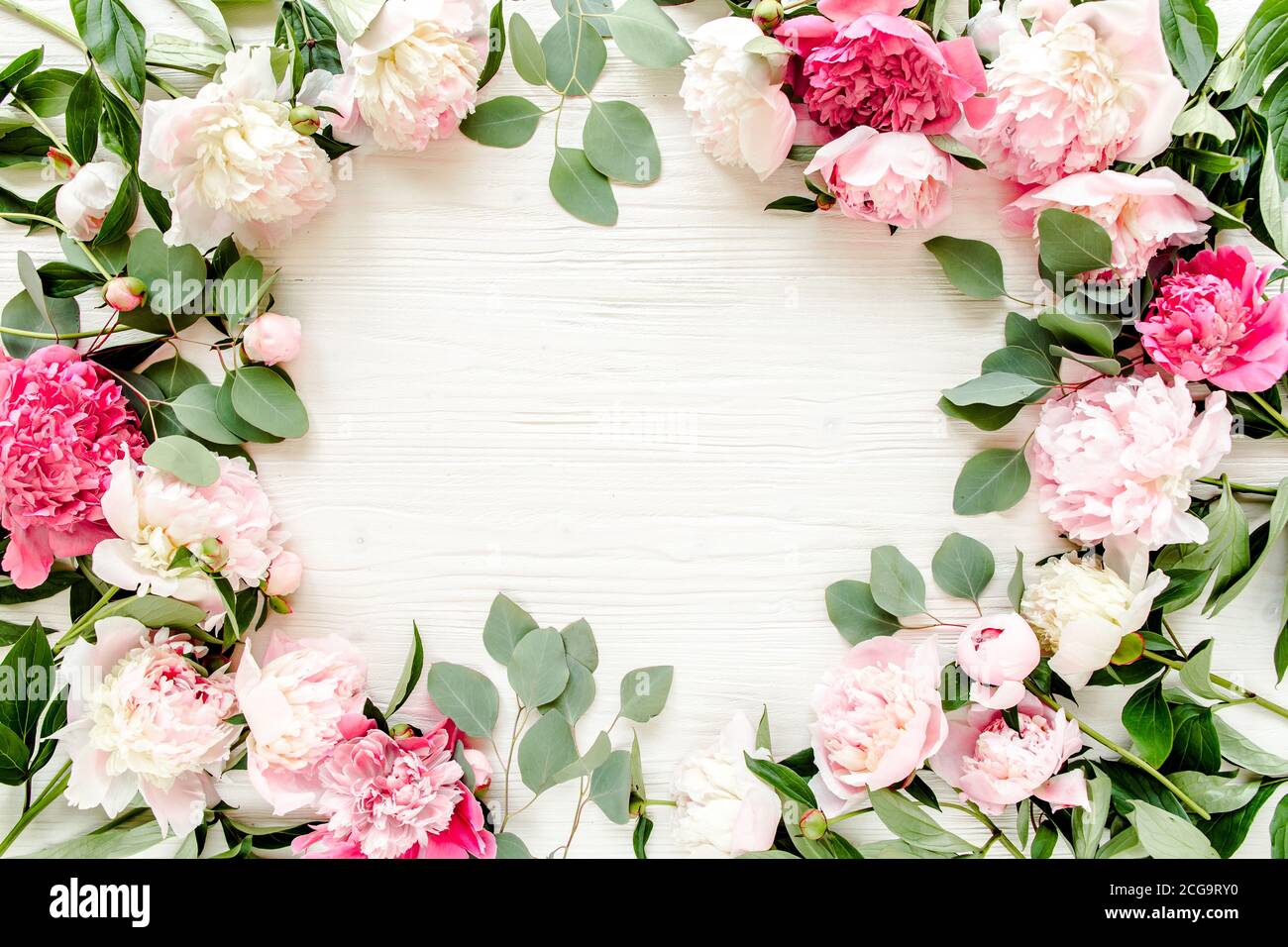 frame made of beautiful pink peonies on white background. Flat lay, top ...