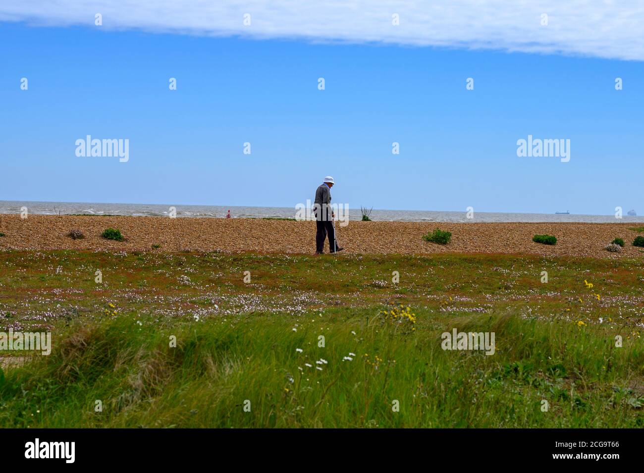Old man walking on beach hi-res stock photography and images - Alamy