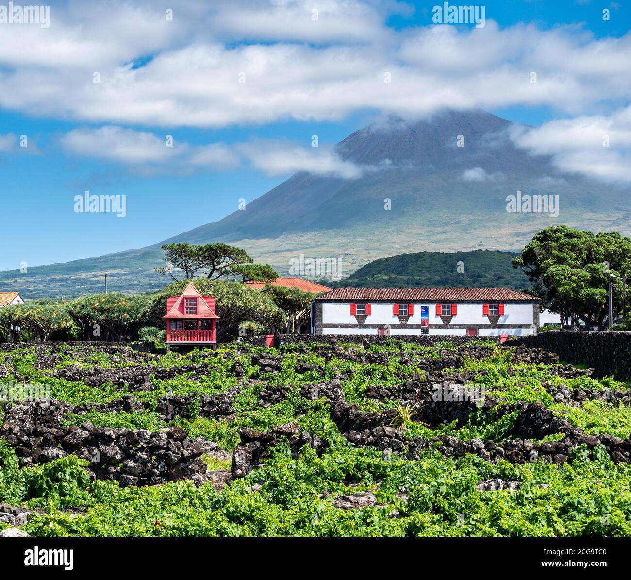 Image of mountain pico with houses and vineyard on the island of pico