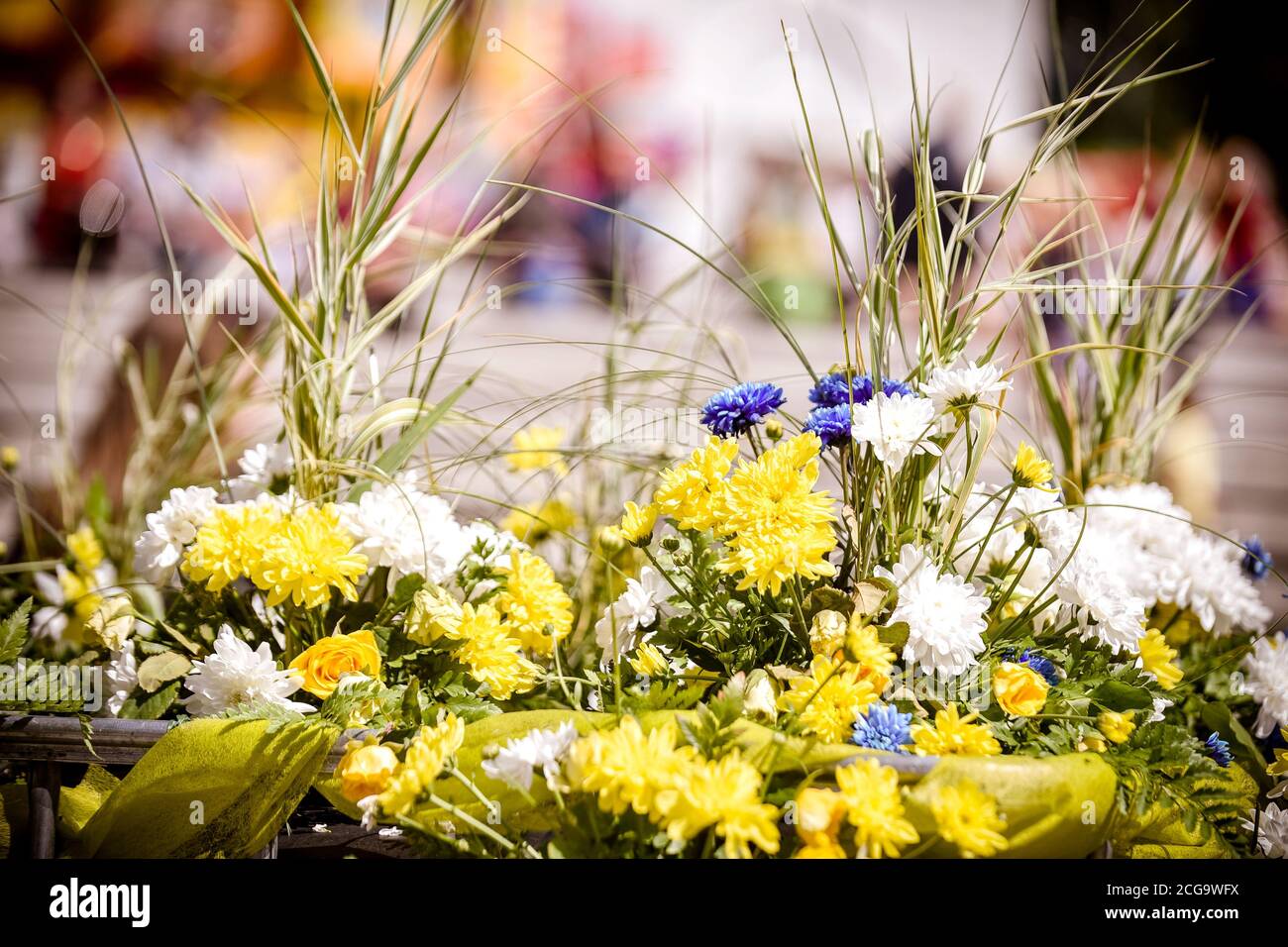 Spring scenery wild flowers field hi-res stock photography and images ...