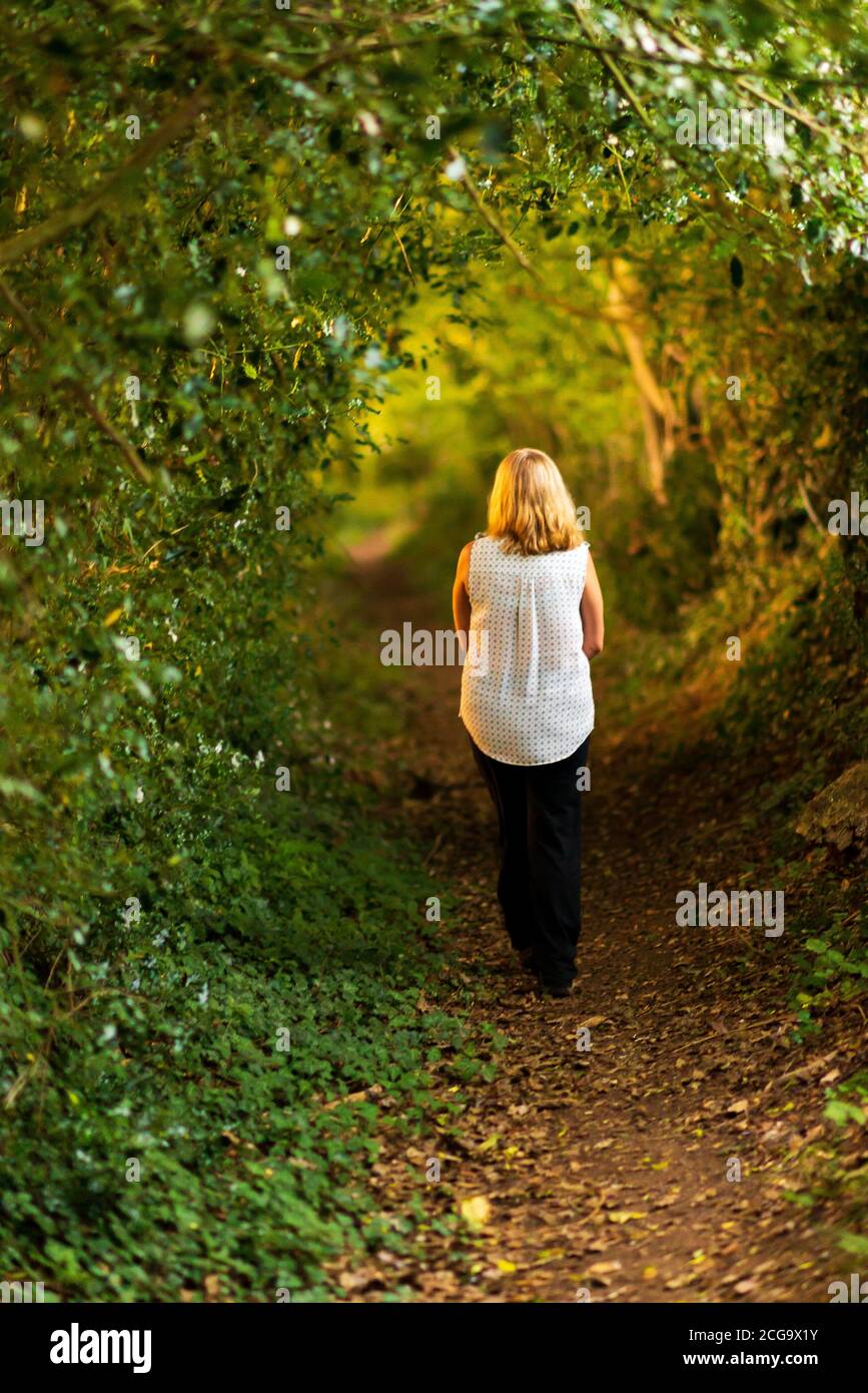 Breamore, Hampshire, UK, 9th September 2020, Weather: A warm September evening with a glowing sunset. A woman walks down a countryside footpath through a tree tunnel with sunlight shining through the foliage from the side. Credit: Paul Biggins/Alamy Live News Stock Photo