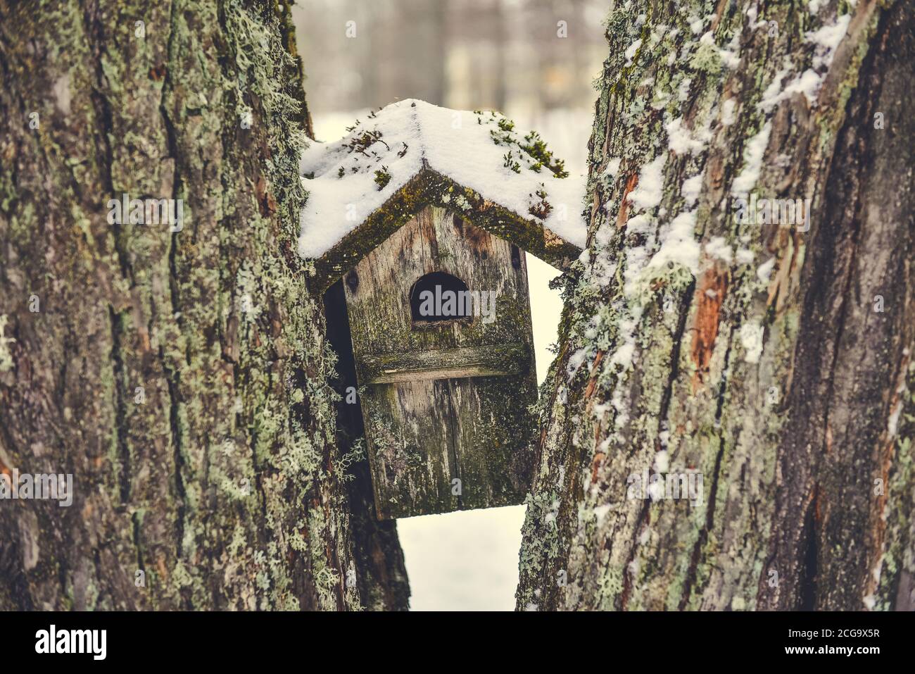 Little bird house Stock Photo Alamy