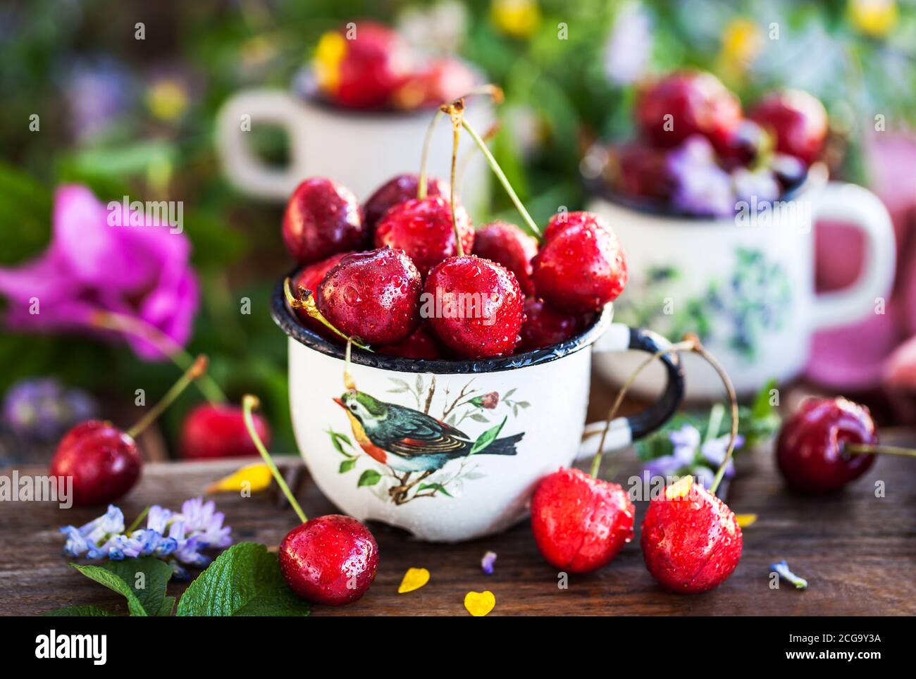 Freshness in summer hi-res stock photography and images - Alamy