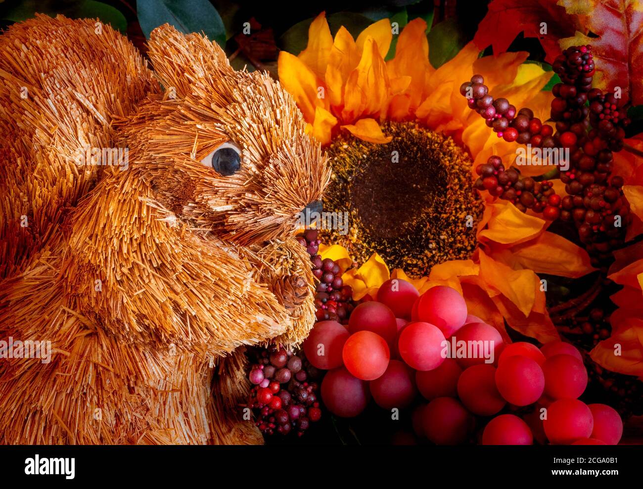 Close up of a squirrel surrounded by  sunflowers, grapes, berries and foliage for the autumn celebrations. Stock Photo
