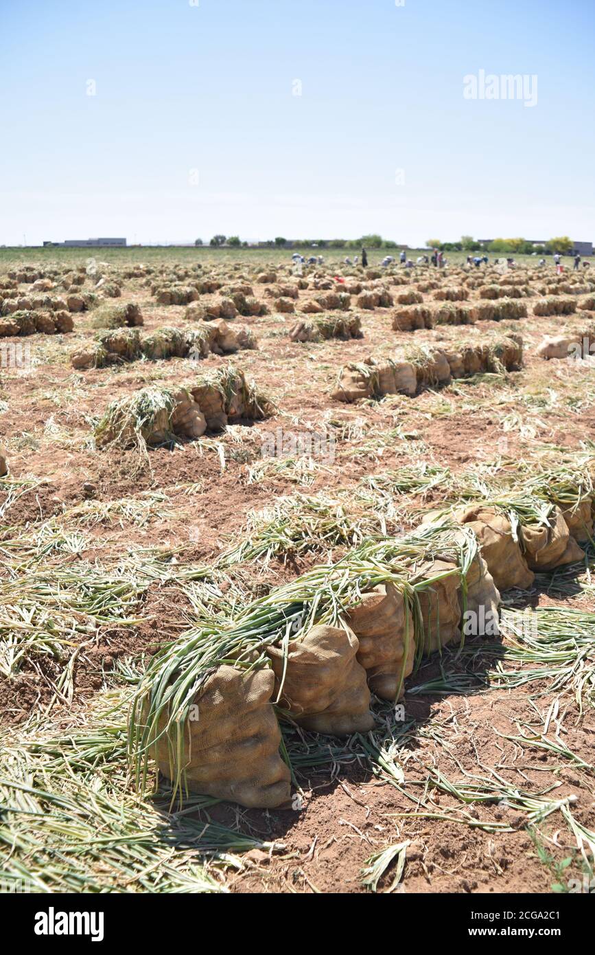 Rousseau farming hires stock photography and images Alamy