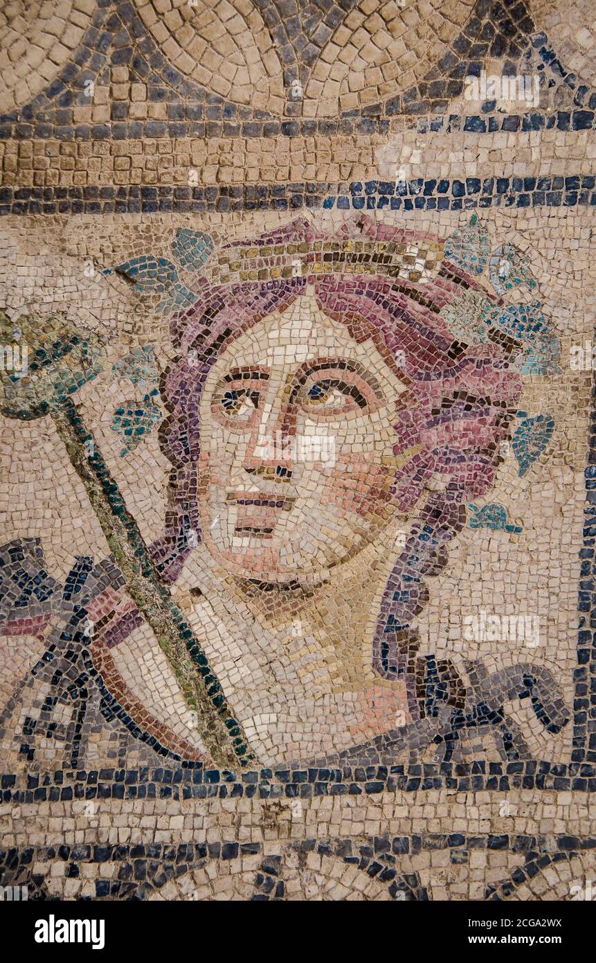 floor-mosaic-in-roman-house-in-ephesus-stock-photo-alamy