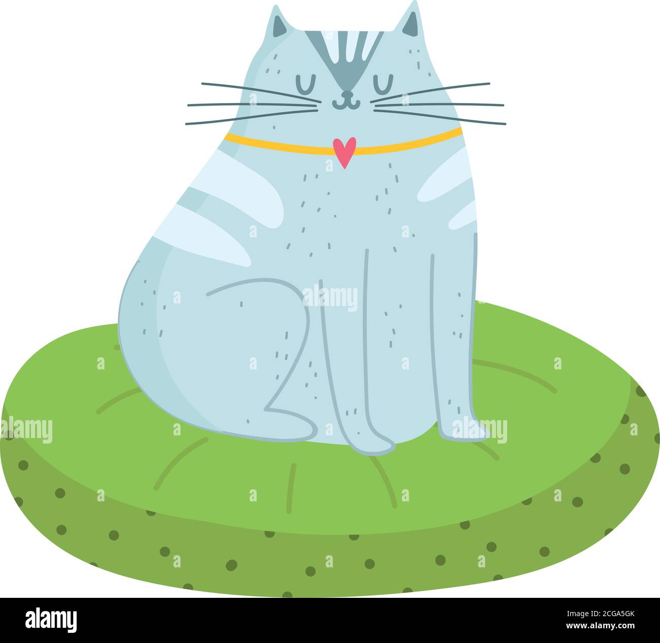gray cat sitting on green cushion isolated design white background