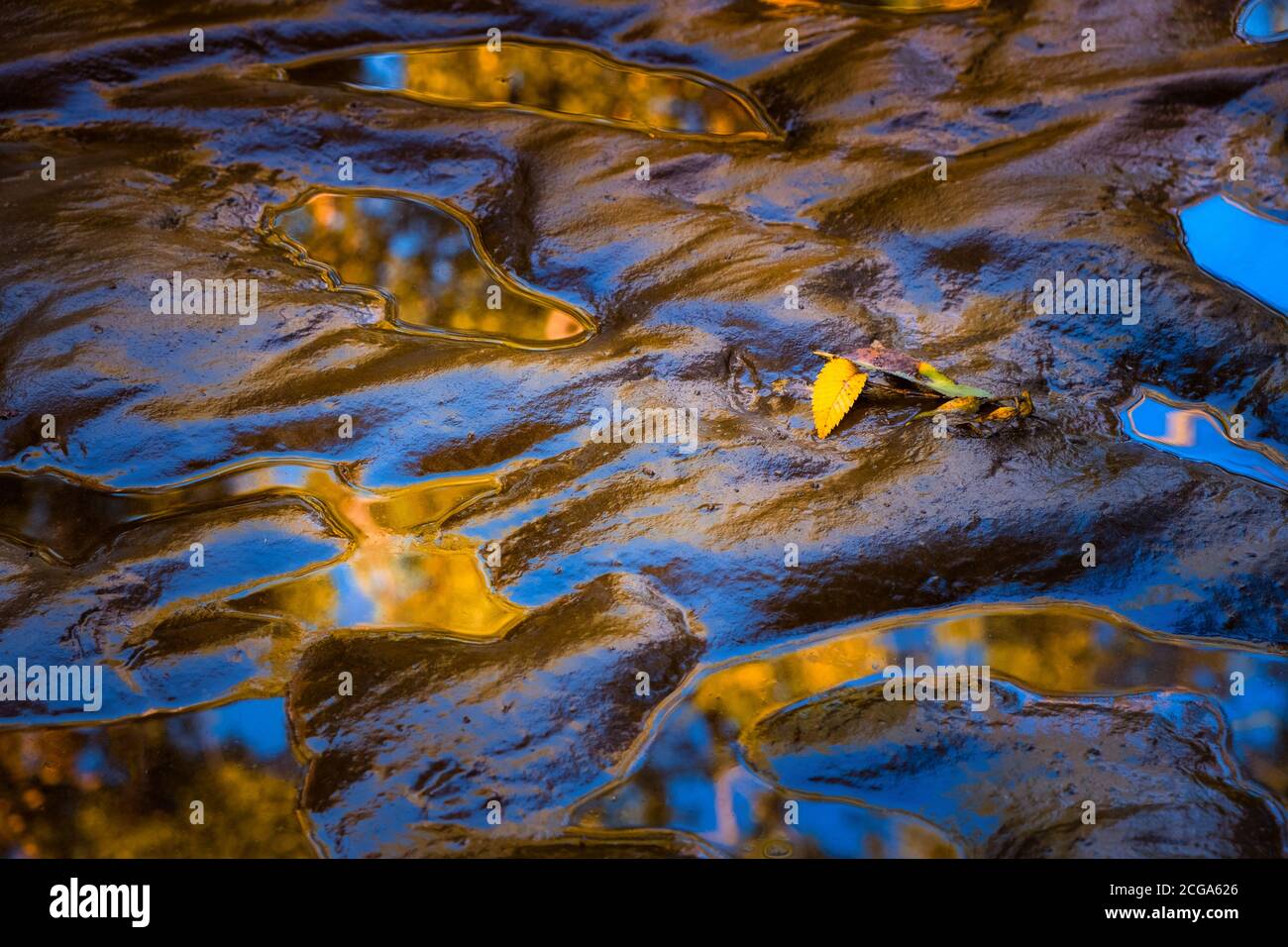 River Mudflat Reflections, Clinton River, Sterling Heights, Michigan Stock Photo