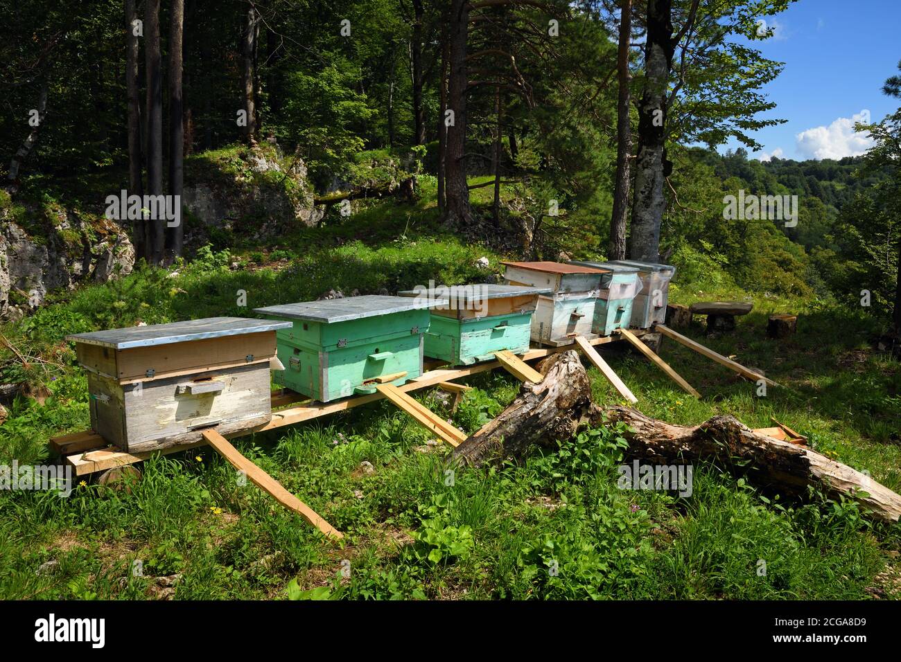 Beehives in summer mountain forest Stock Photo