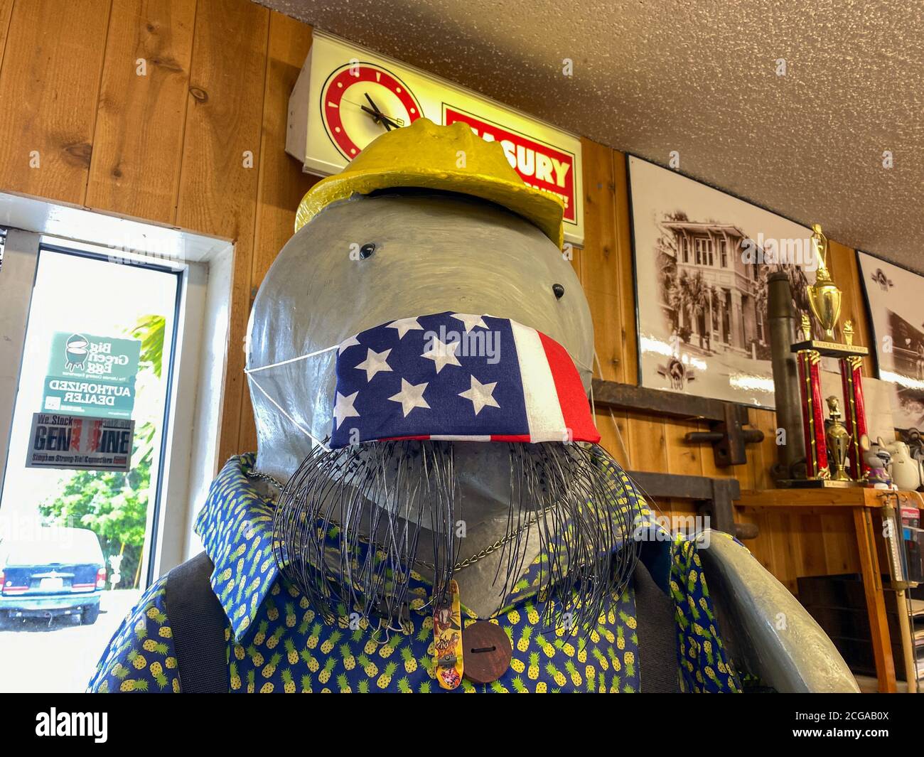 Ft. Pierce, FL/USA - 6/4/20: A Manatee statue dressed as a construction