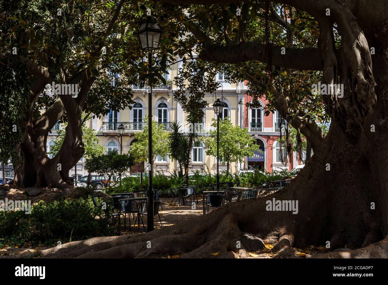 Beautiful view from green garden in central Lisbon, Portugal Stock Photo