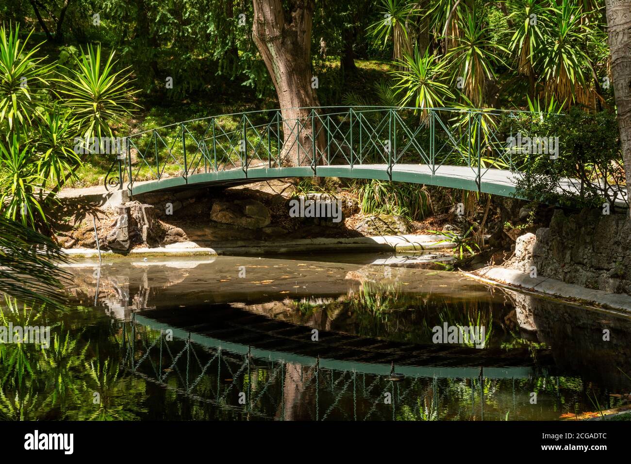 Tropical Botanical Garden in central Lisbon, Portugal Stock Photo Alamy