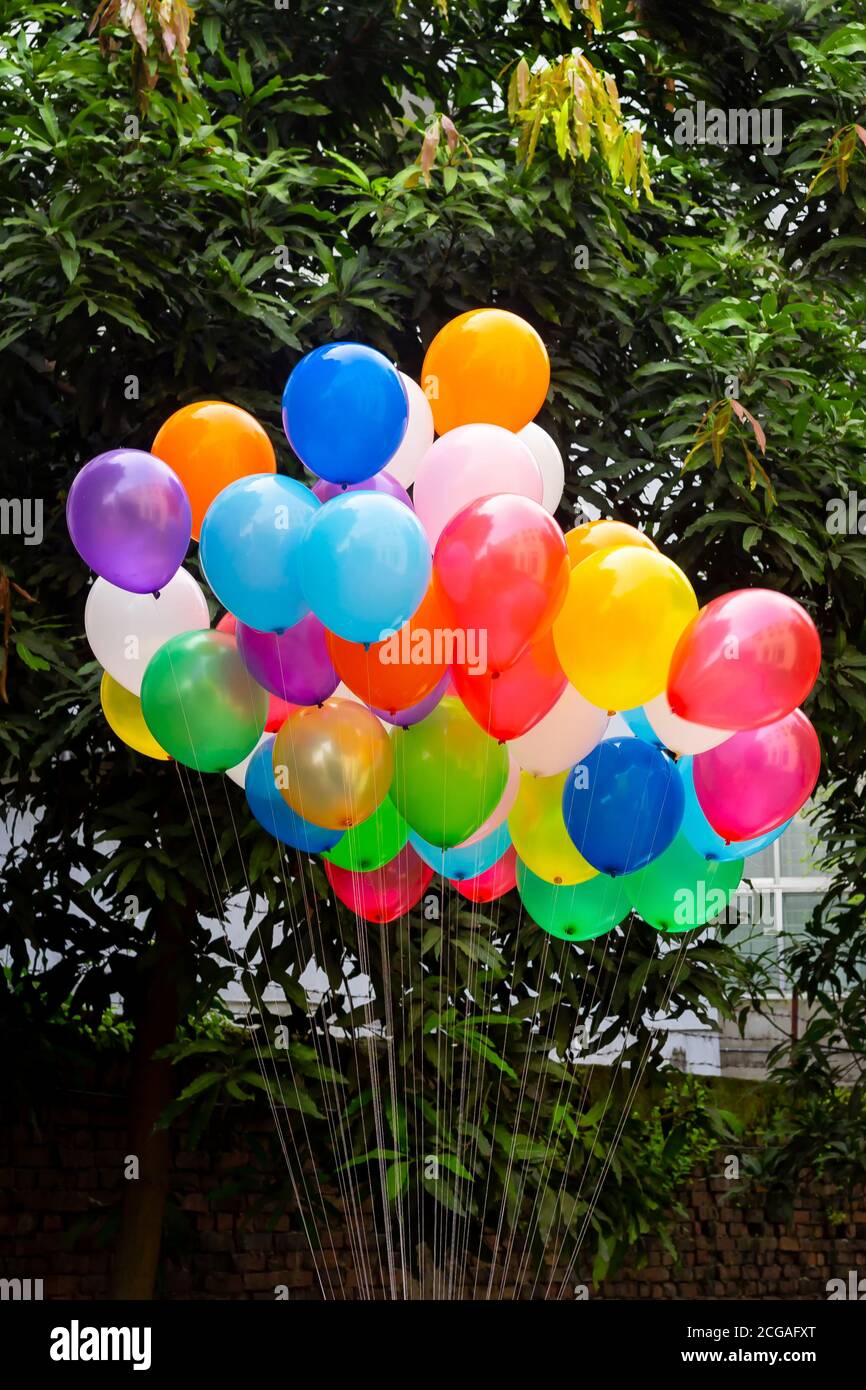 Colorful balloons filled with gas tied to the thread are flying