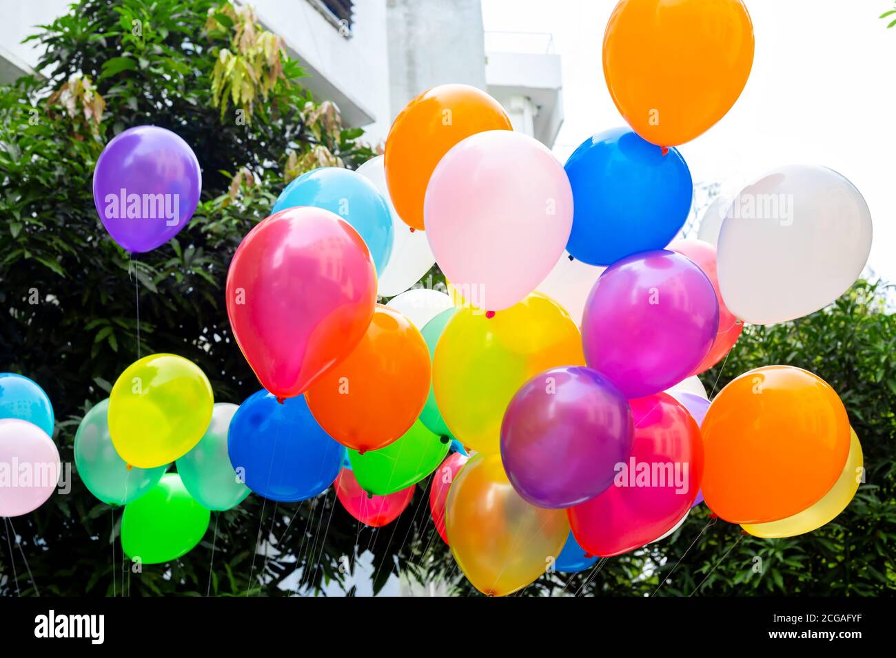Helium gas cylinder balloons hi-res stock photography and images - Alamy