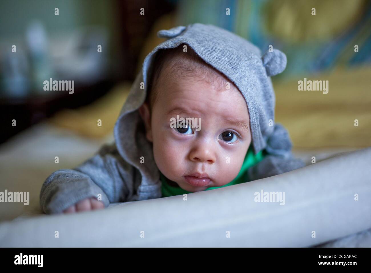 Infant in grey sweatshirt with ears laying on pillow looking at camera with large brown eyes Stock Photo