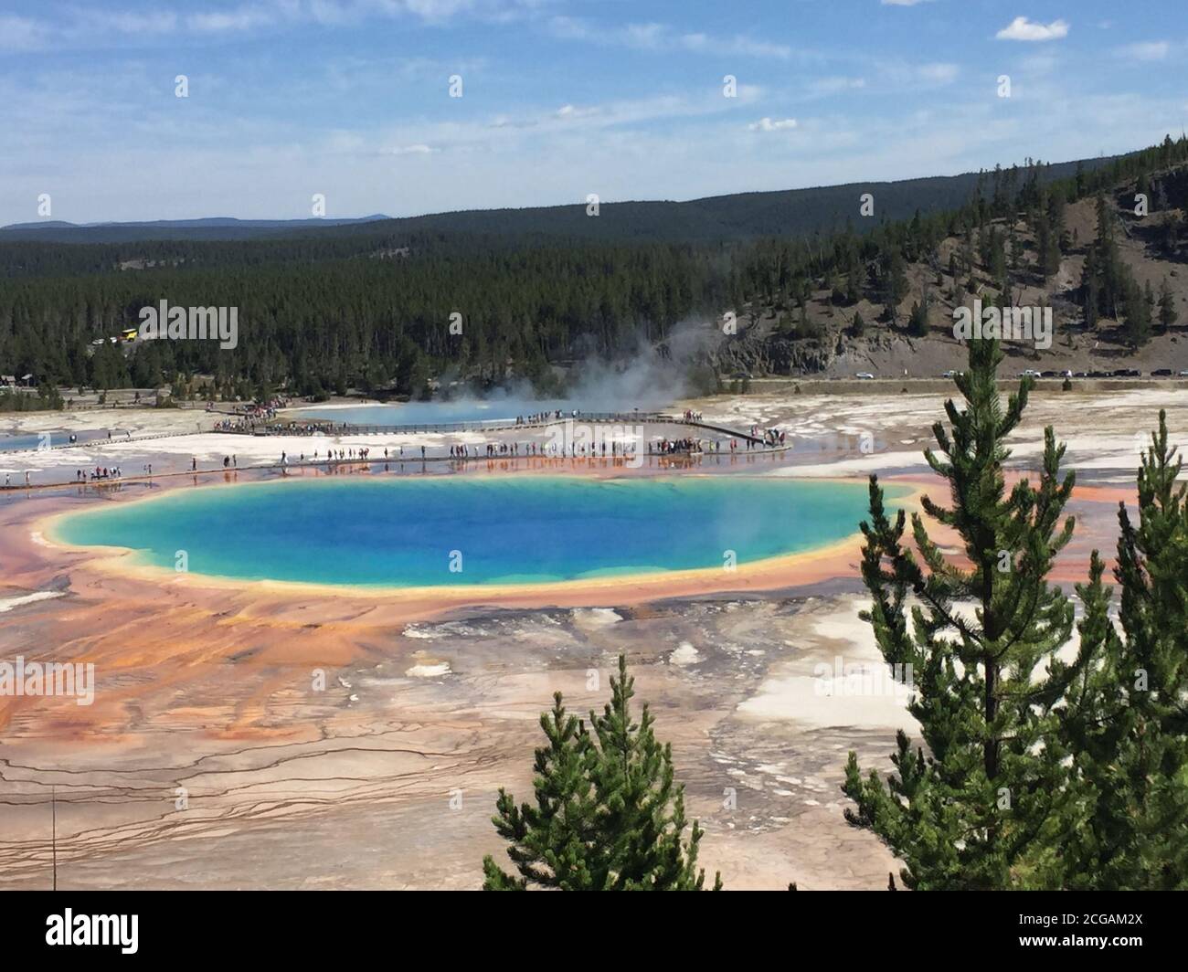 Famous trail of Grand Prismatic Springs in Yellowstone National Park from high angle view. Beautiful hot springs with vivid color blue green orange Stock Photo