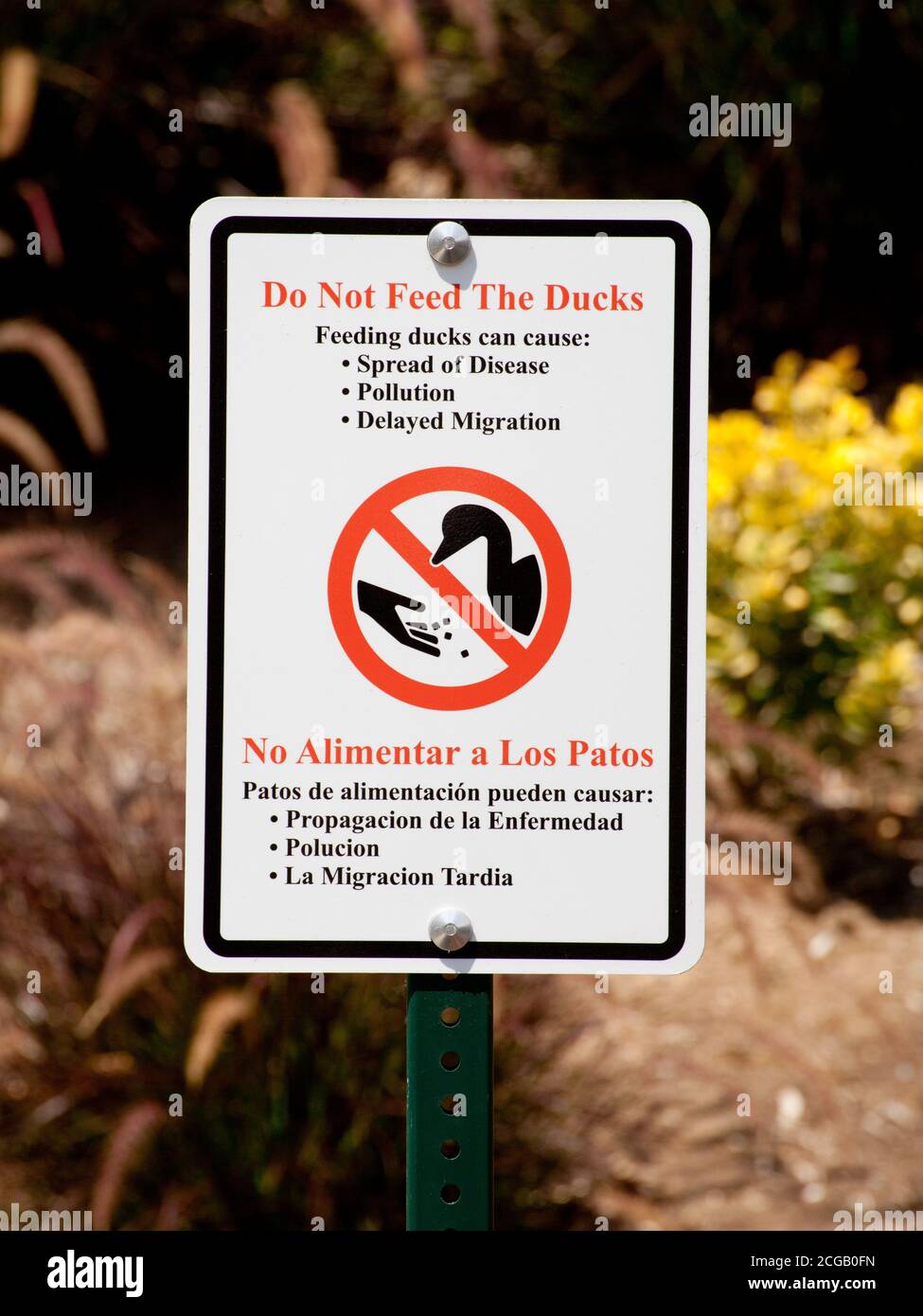 Bird feeding prohibited sign hires stock photography and images Alamy