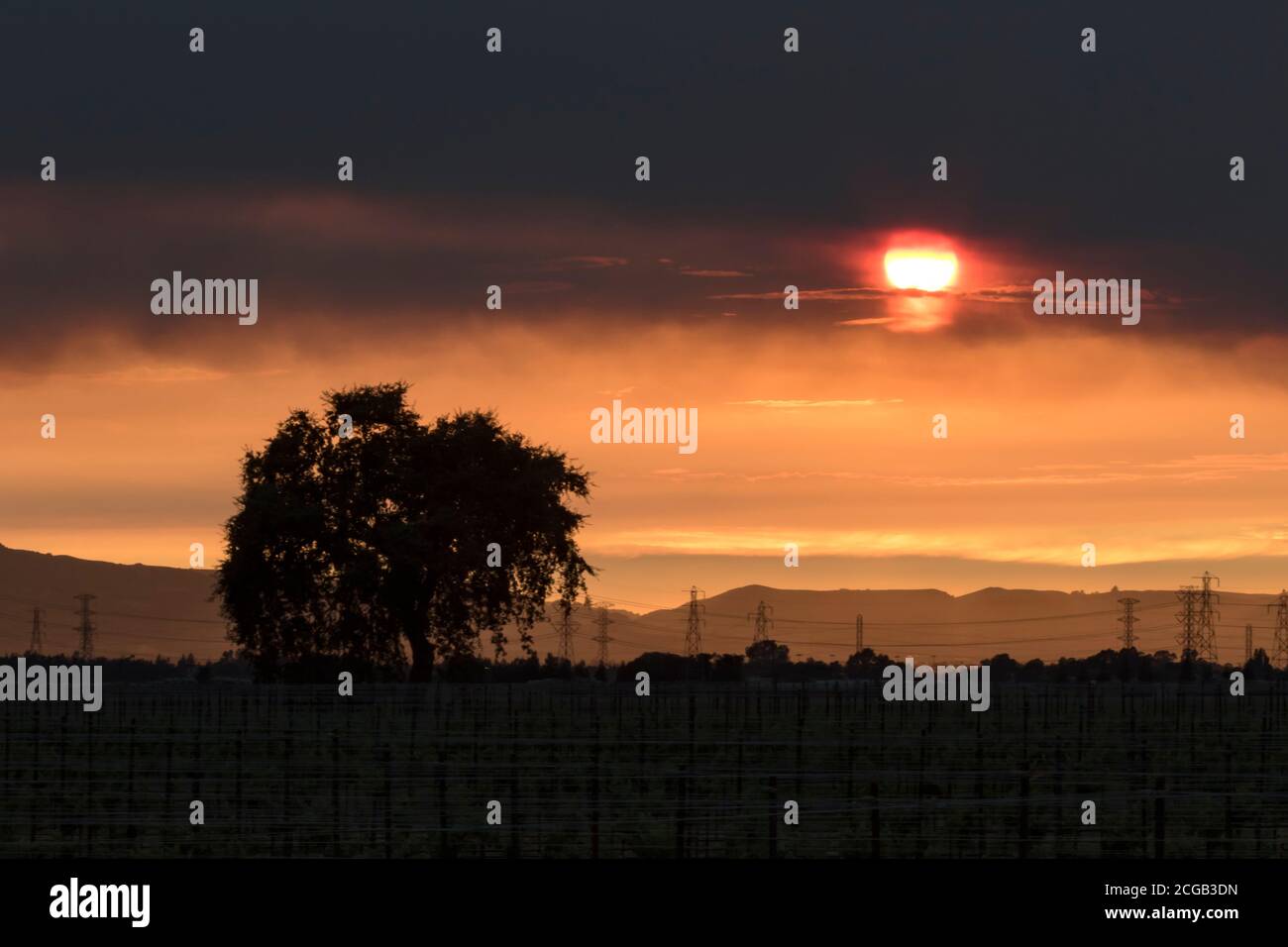 Smoke from nearby wildfires darken the sky above the vineyards in Livermore, California Stock Photo