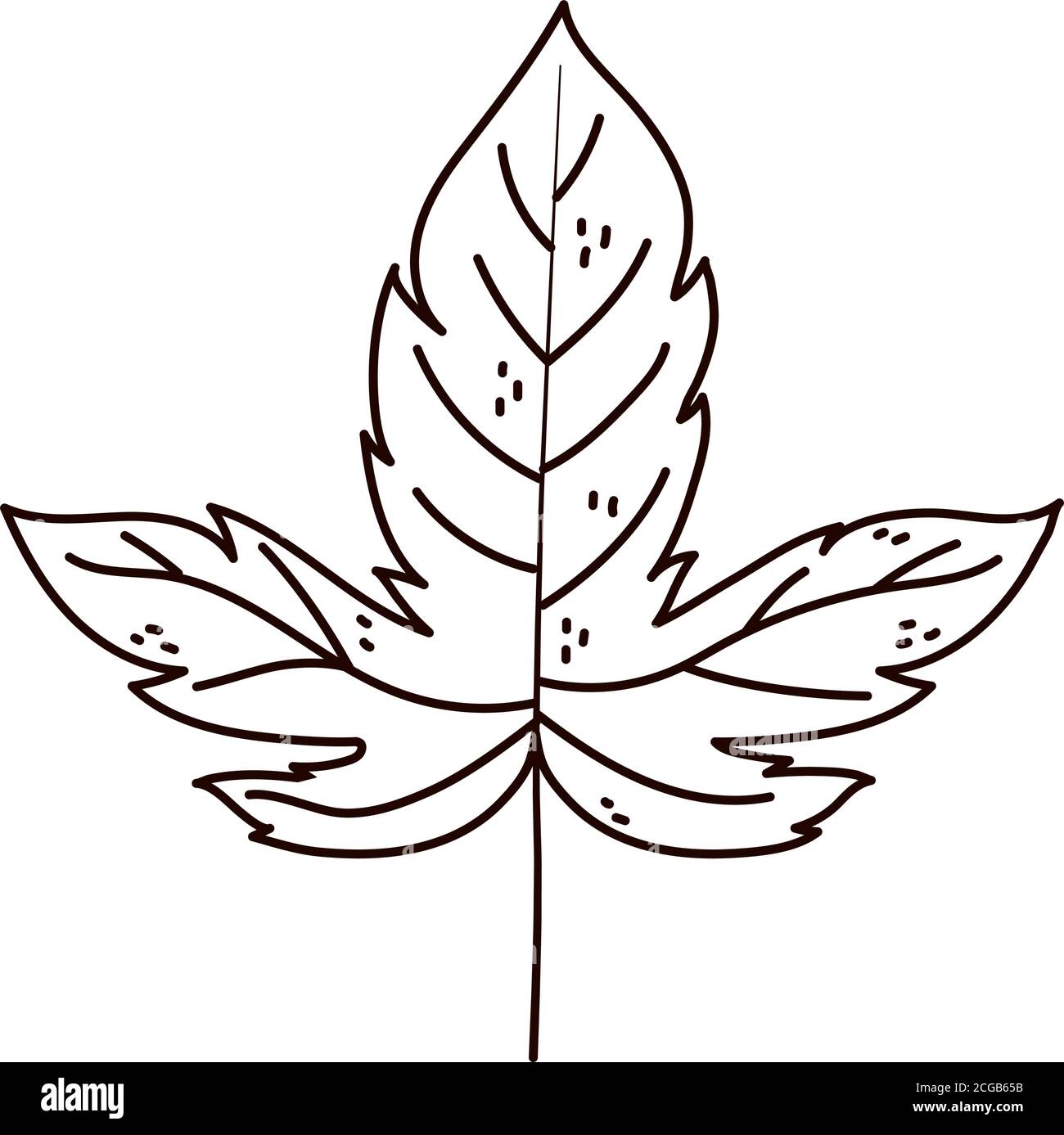 autumn maple leaf foliage isolated icon line style vector illustration ...