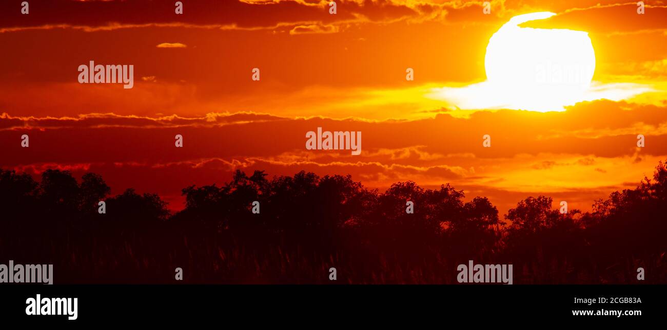 Panoramic photo of setting sun over the forest. Trees are seen as silhouettes and sunset sky is in vibrant red. Clouds have different tones of red to Stock Photo