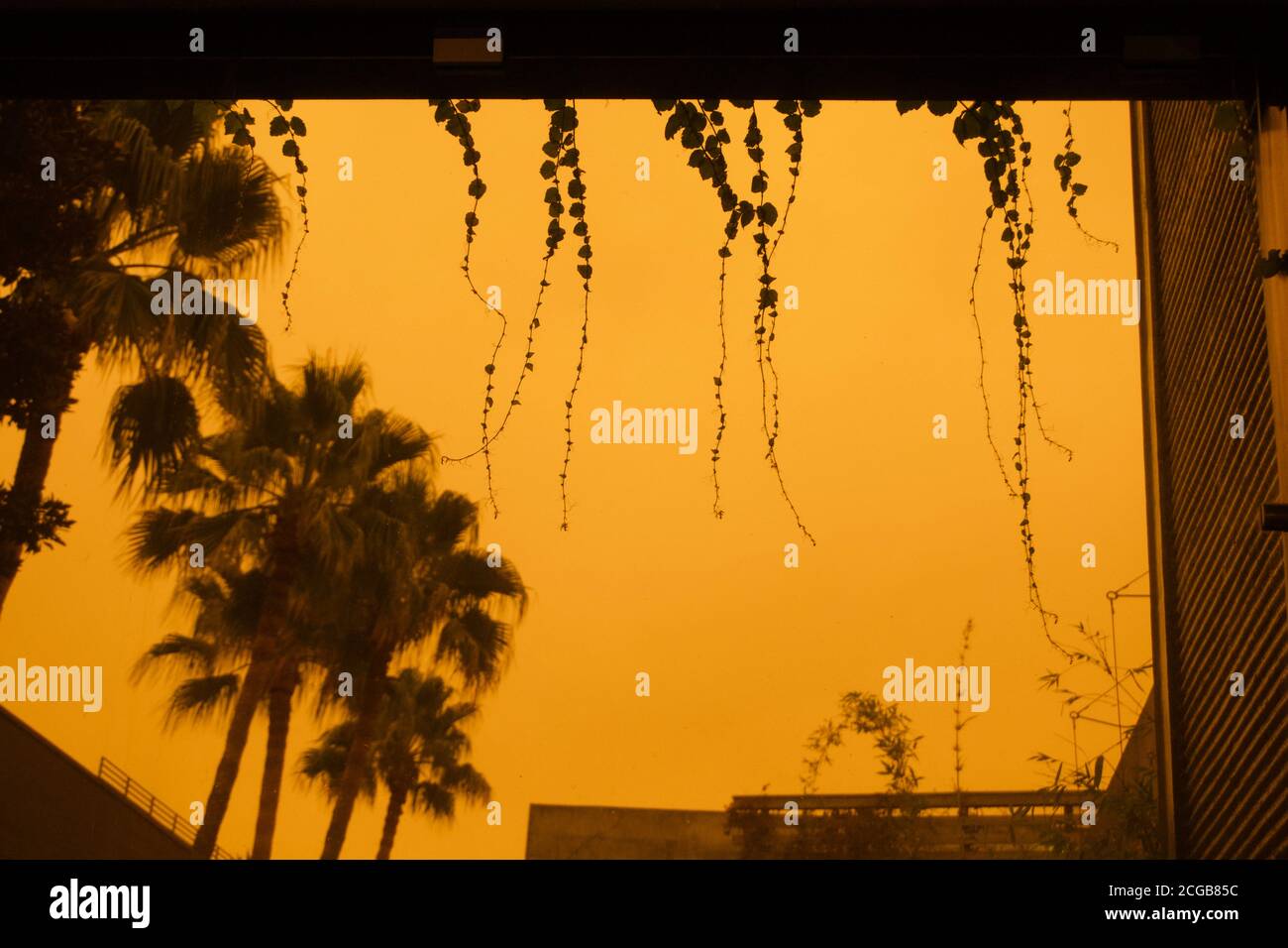 September 9, 2020. Freak afternoon orange sky from toxic smoke of wildfires from Oregon and California wildfires behind palm trees in courtyard. Stock Photo