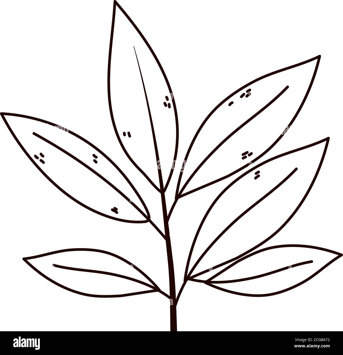 branch leaves foliage natural isolated icon line style vector ...