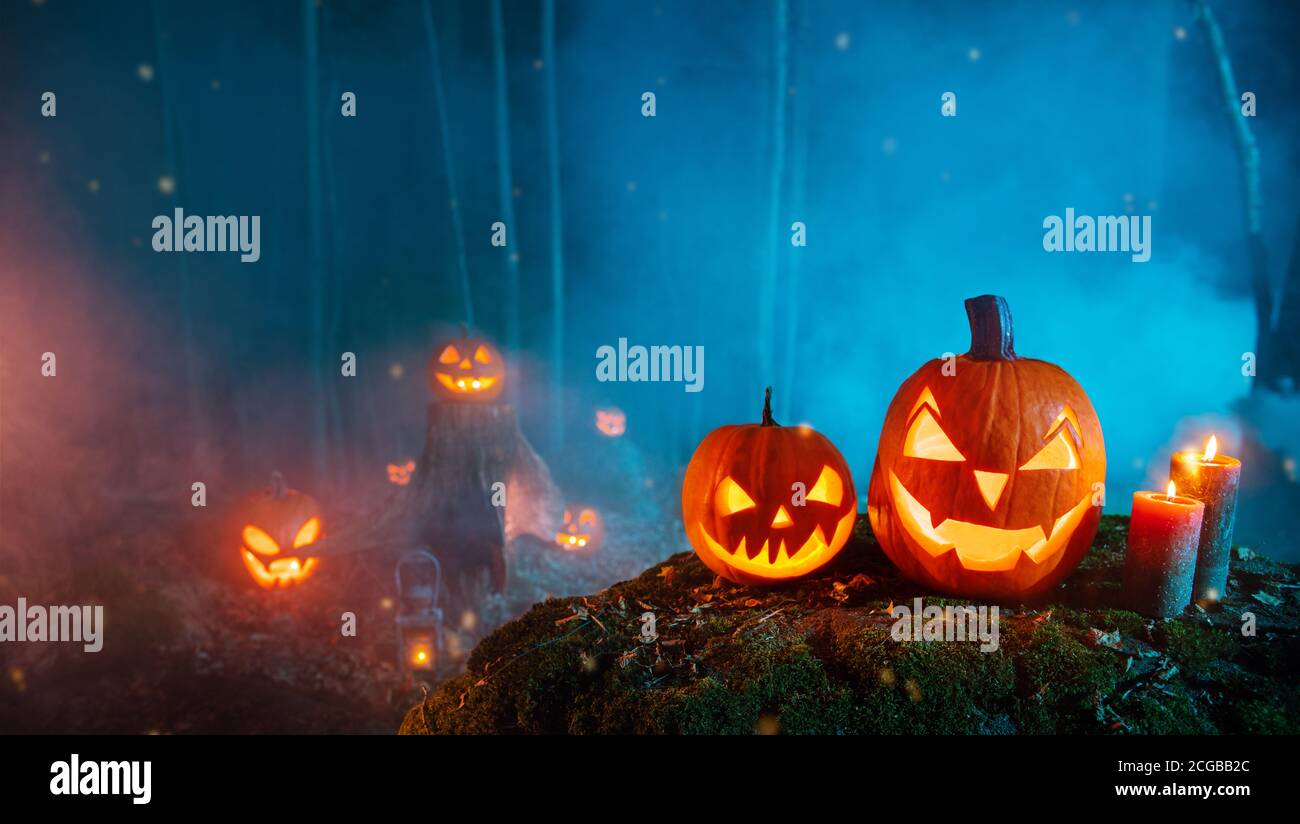 Spooky halloween pumpkins in forest. Scary halloween background with ...