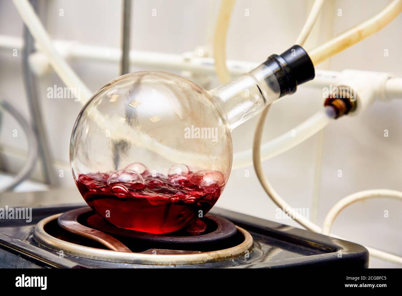 Red liquid boils in a round flask in the laboratory Stock Photo Alamy
