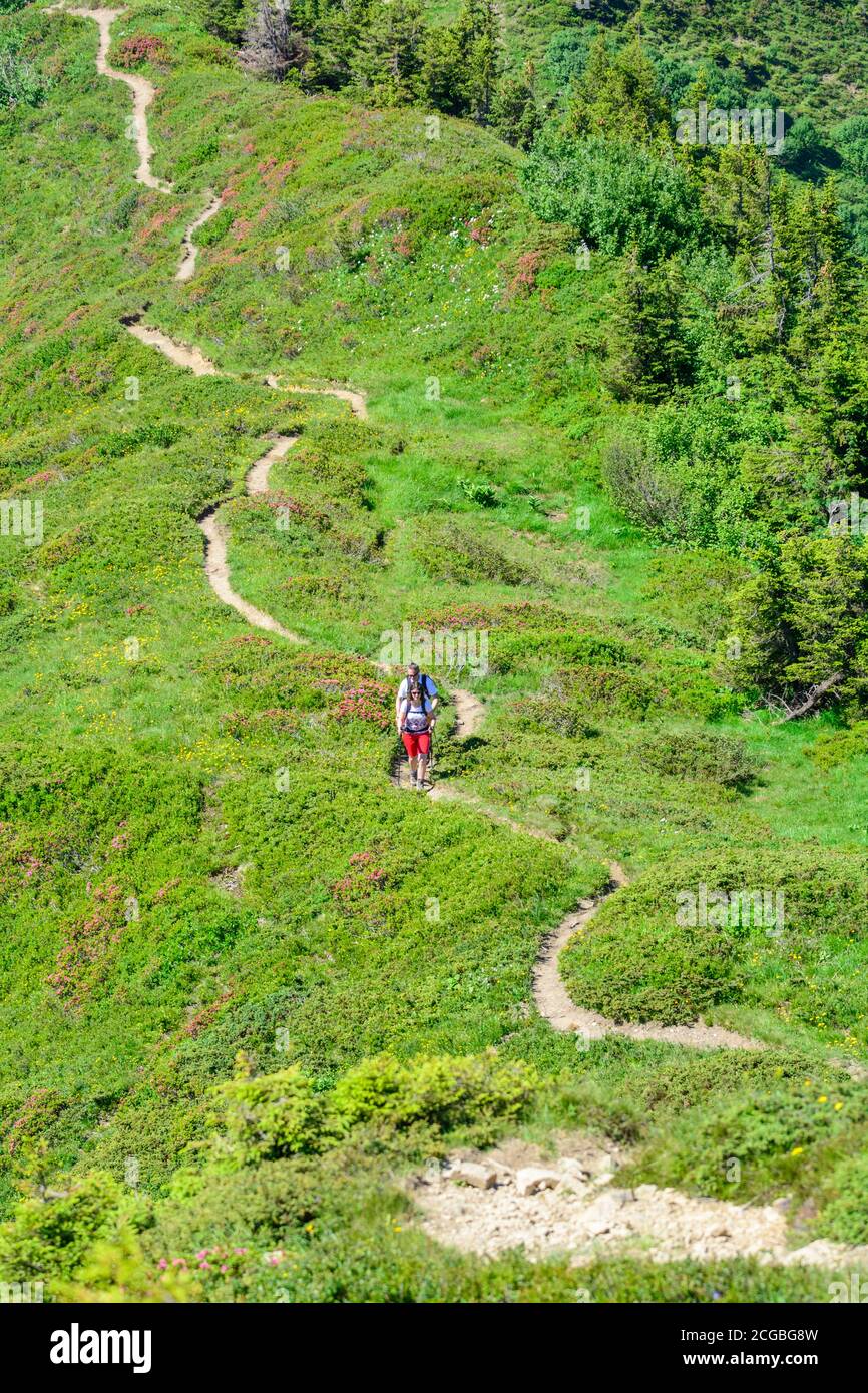 Couple hikers doing trekking hi-res stock photography and images - Alamy