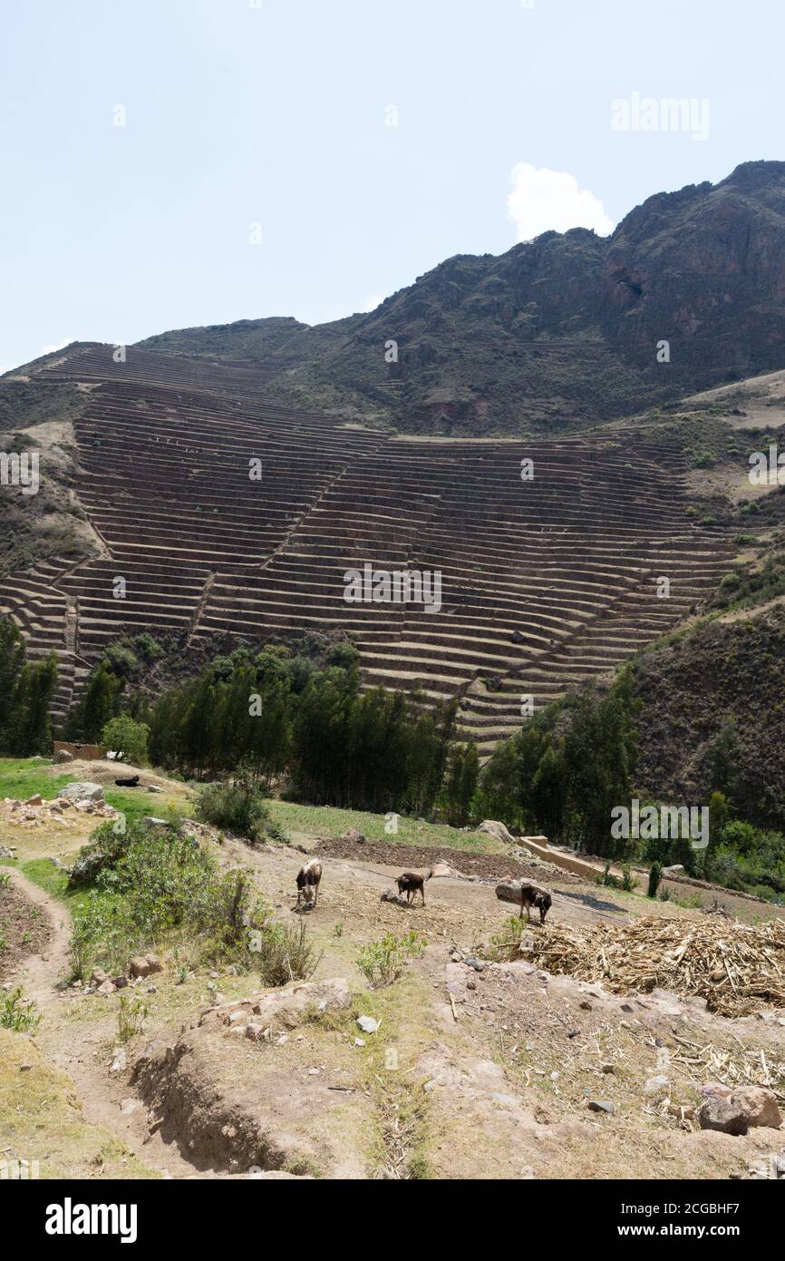 Inca circular terraces at Moray (agricultural experiment station), Peru ...