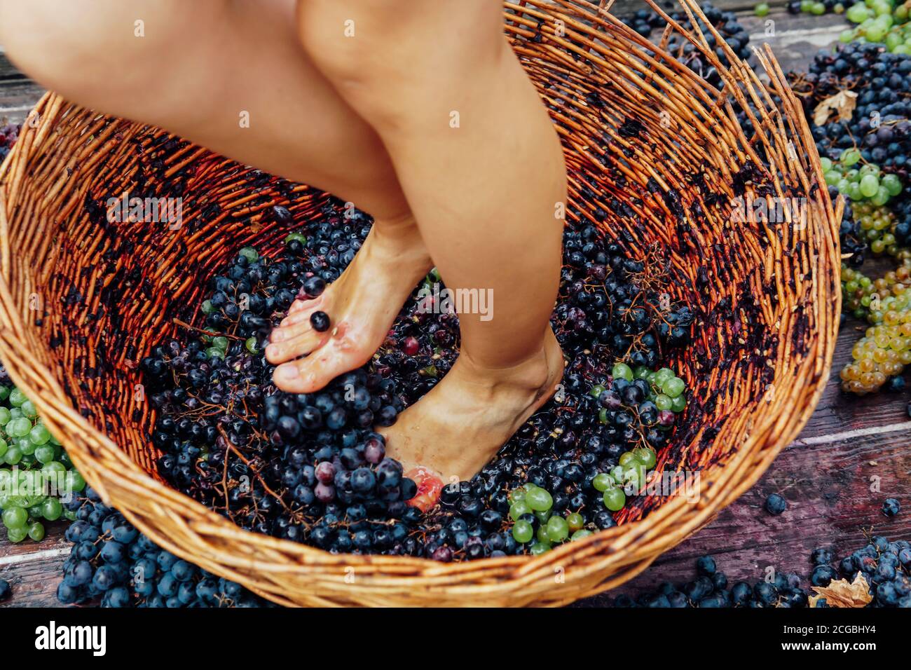Woman crushes feet of grapes to make wine Stock Photo Alamy