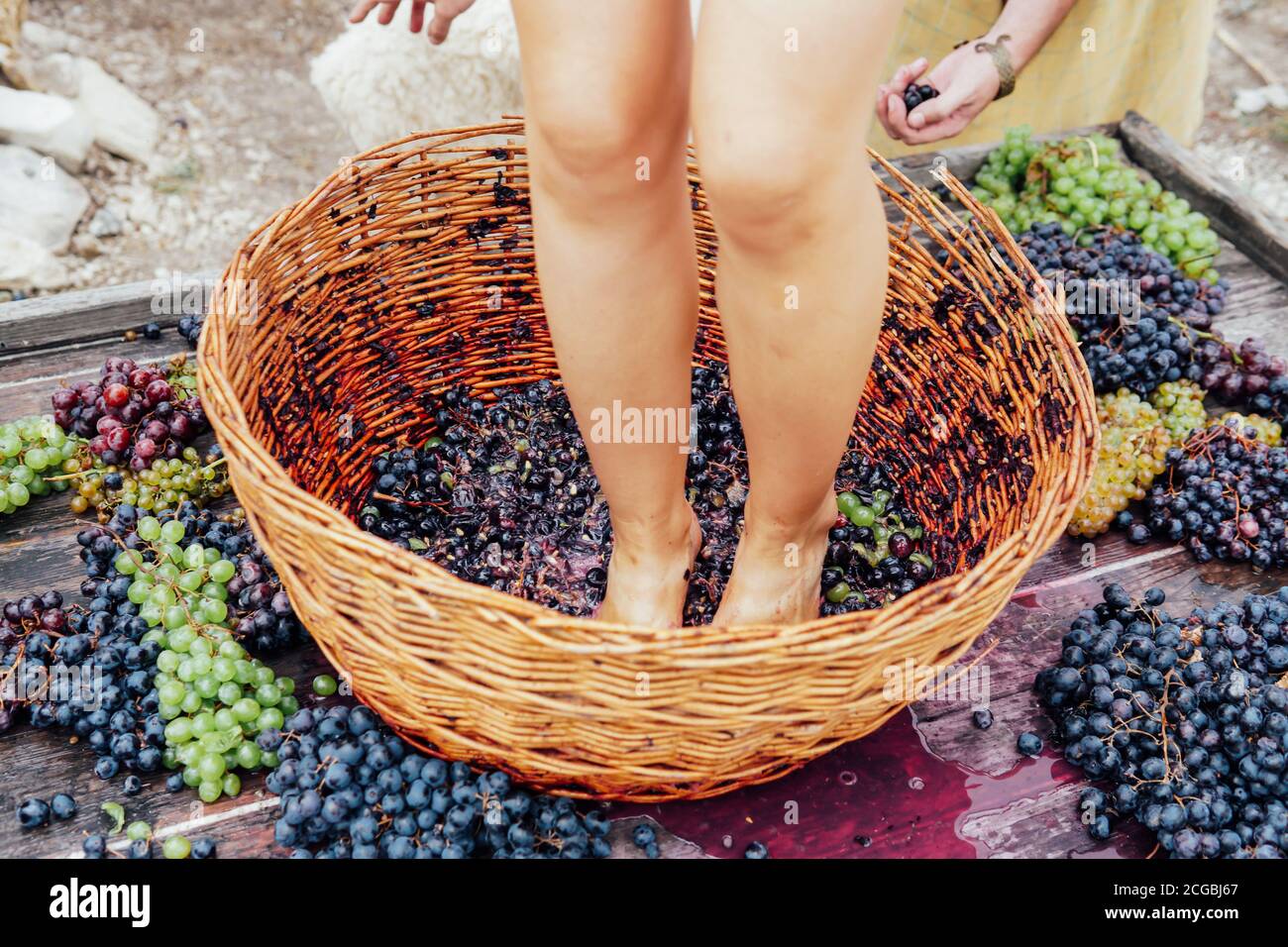 Woman crushes feet of grapes to make wine Stock Photo