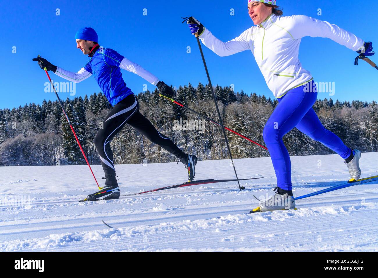 Sporty cross-country skiers on the way in beautiful wintry landsacpe Stock Photo