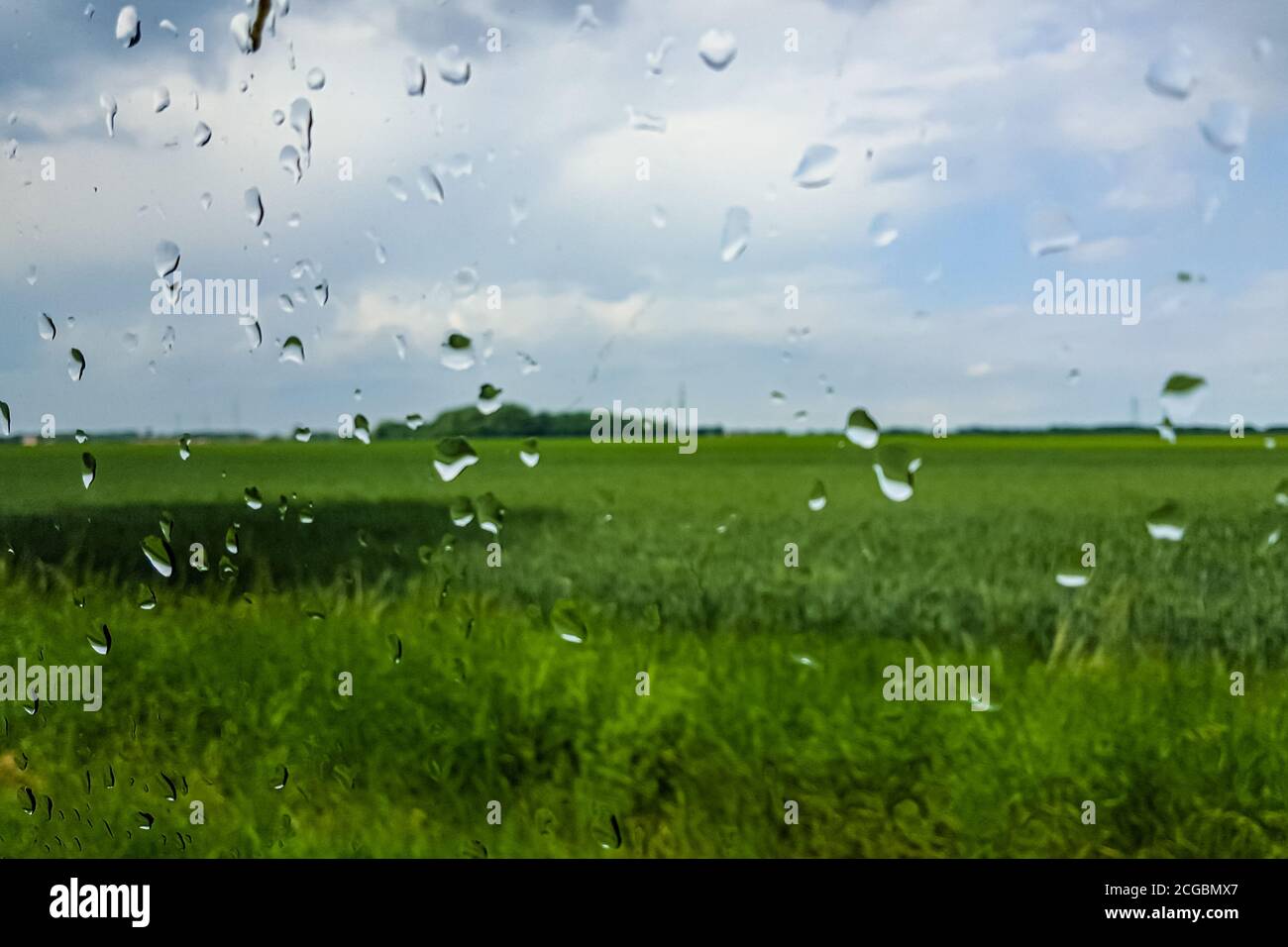 Drops of rain on glass on background of green field Stock Photo