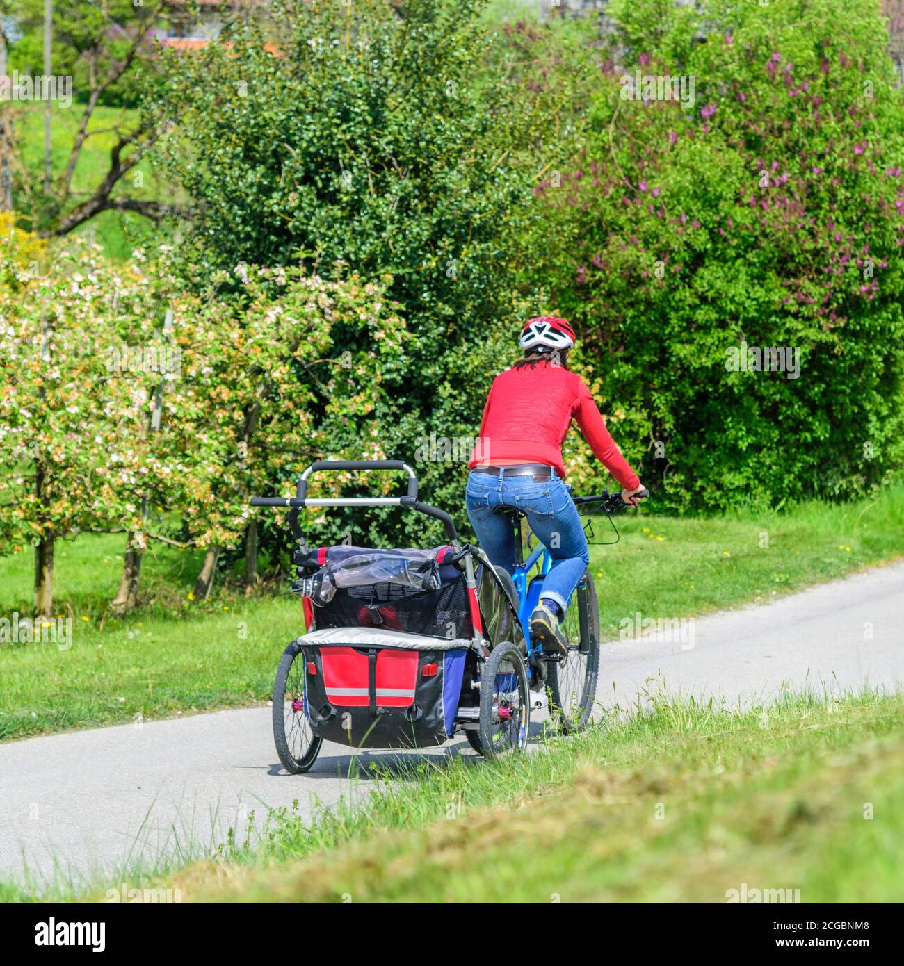 cycling buggy