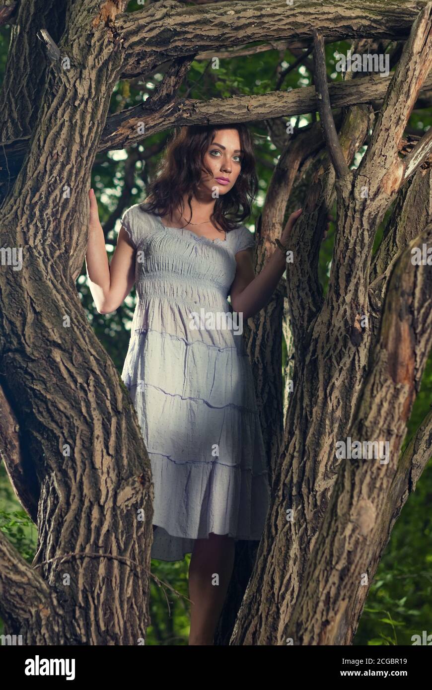 young woman portrait in blue summer dress inside forest trees Stock ...