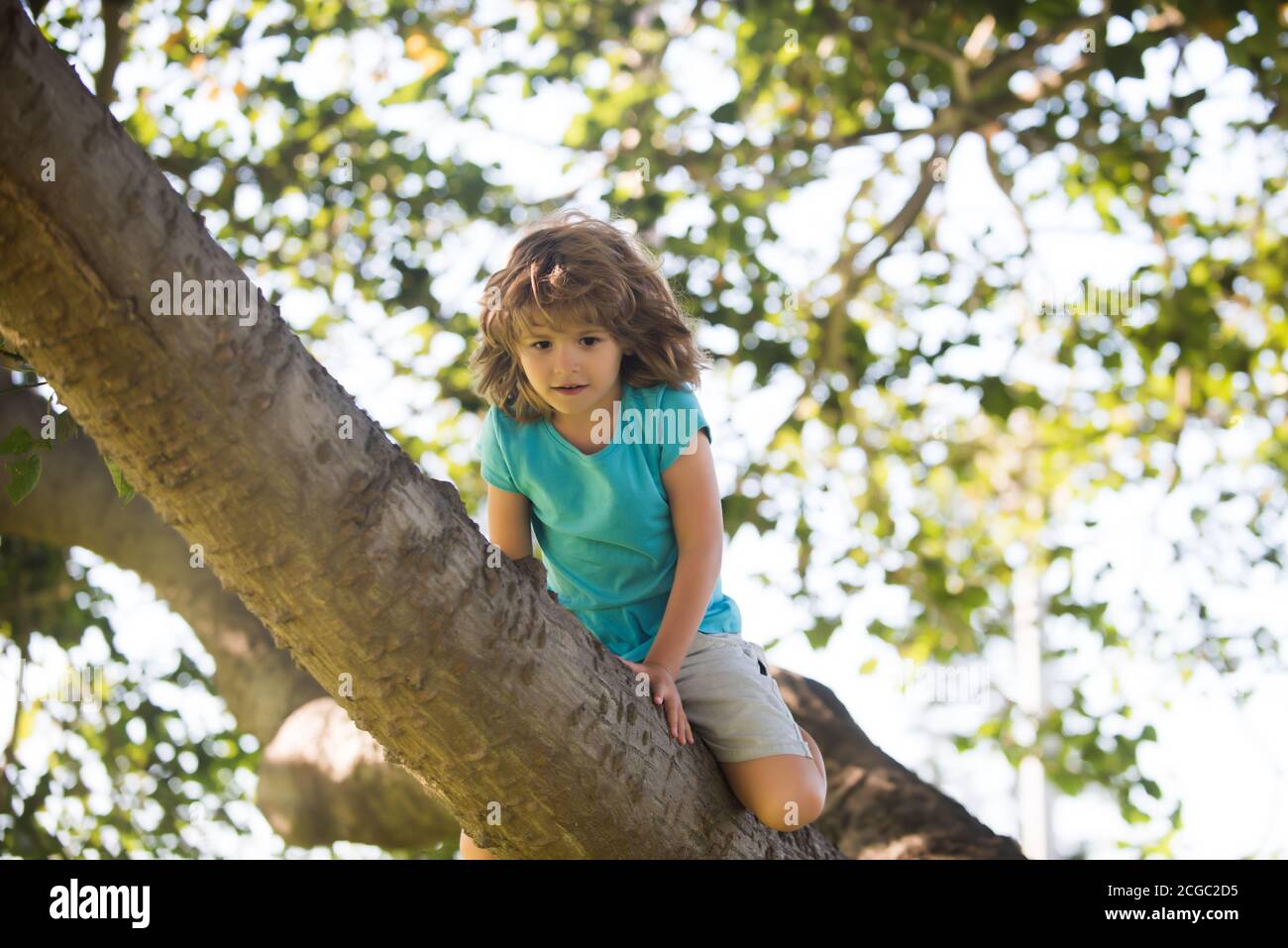 Kids climbing trees. Boy Child climb high up in a tree. Stock Photo