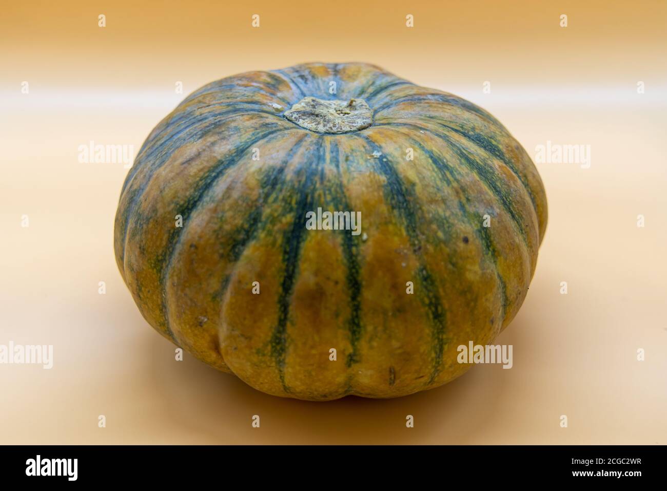 Delicious vegetable pumpkin in the Philippines Stock Photo - Alamy