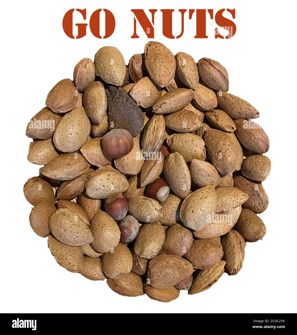 A circle of mixed nuts including Almonds, hazelnuts, Brazil Nuts