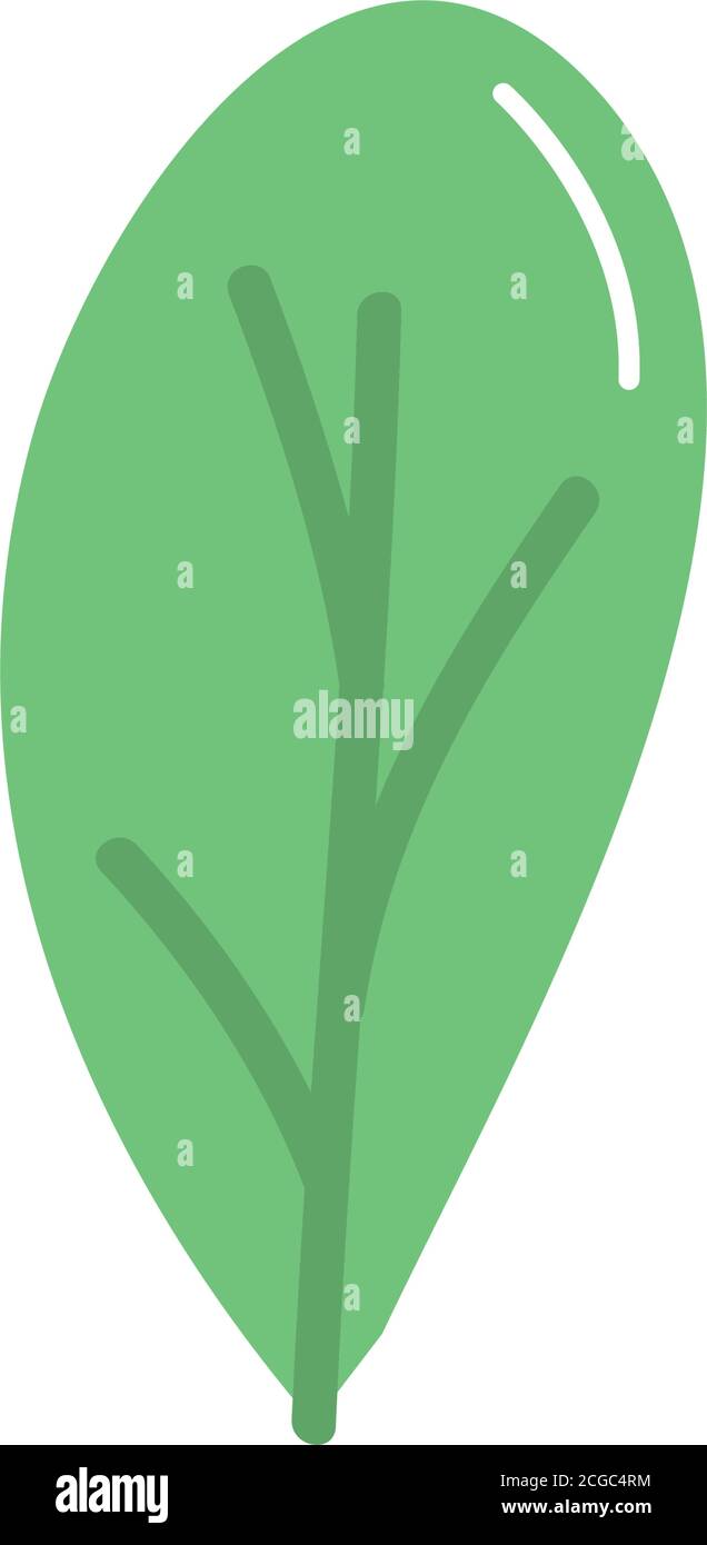 leaf icon over white background, flat style, vector illustration Stock ...