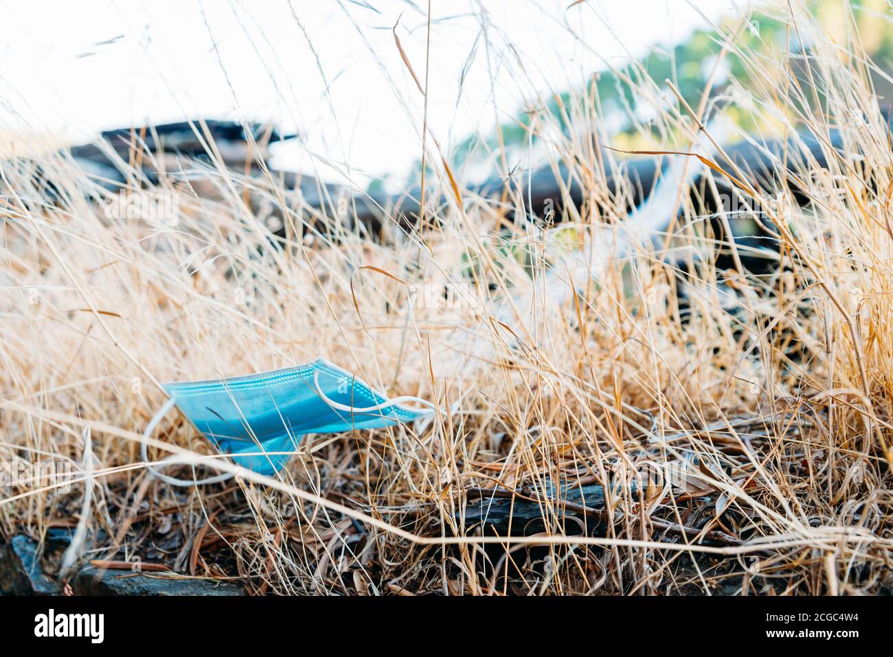 A discarded face mask lying on the ground. Stock Photo