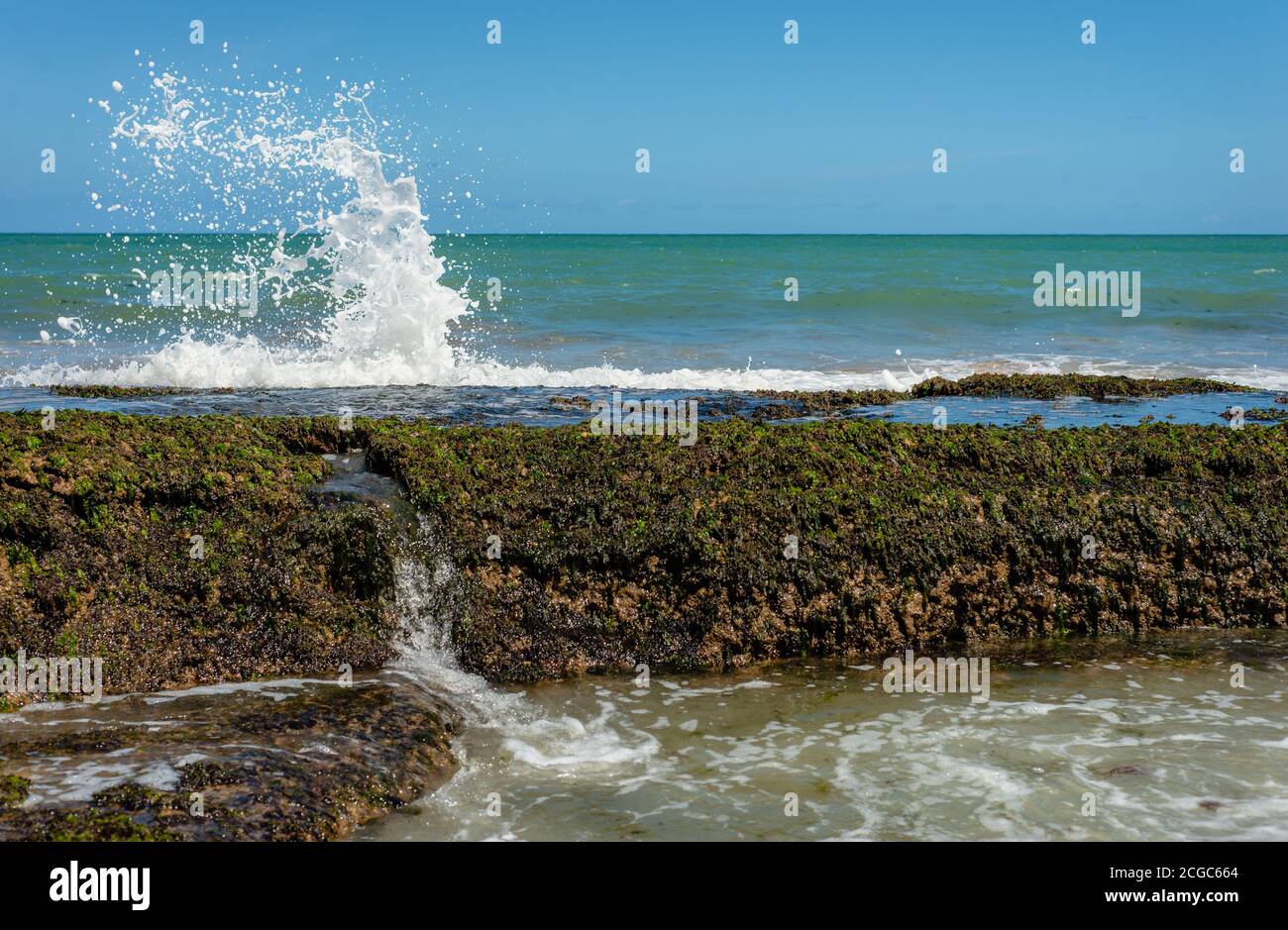 Atlantic Ocean reef seascape, Recife beach, Brazil Stock Photo