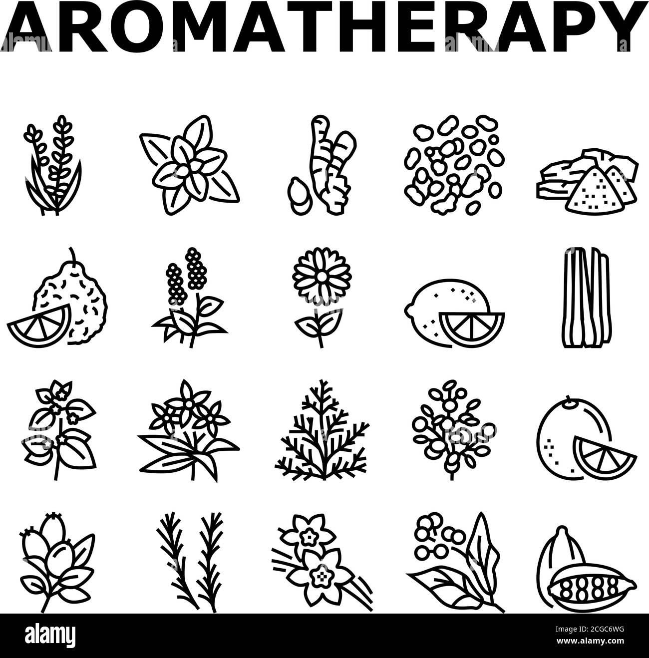 Aromatherapy Herbs Collection Icons Set Vector Illustration Stock