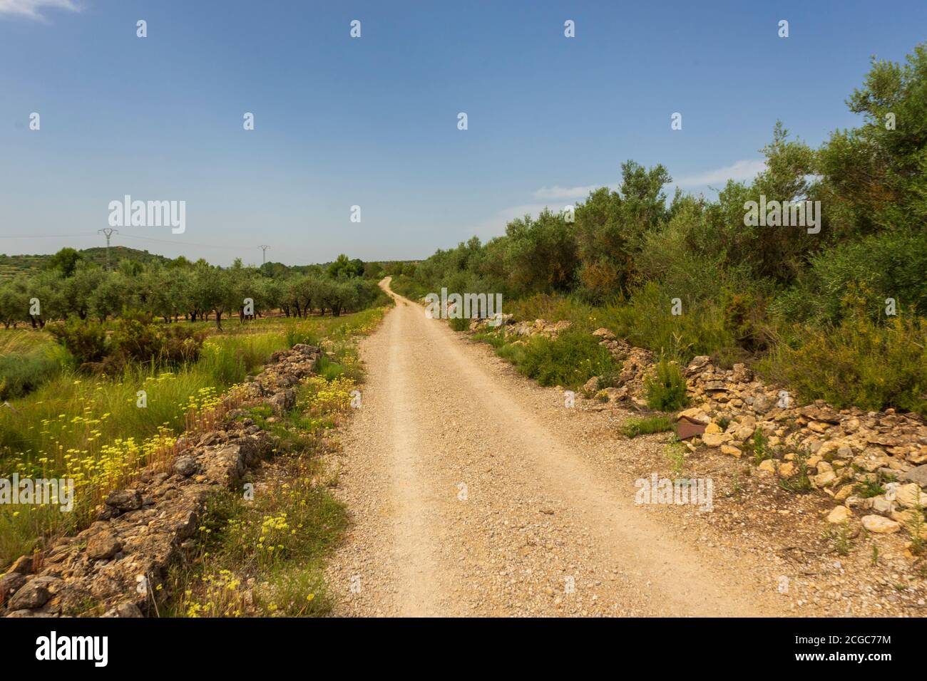 Landscape of the august way as it passes through Castellon, Spain Stock Photo