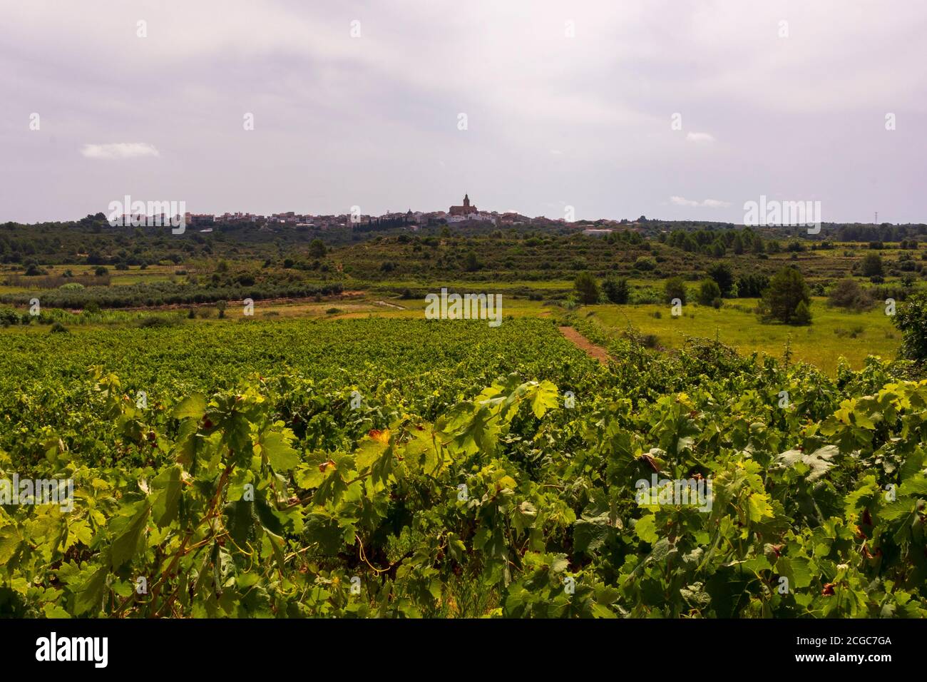 Landscape of the august way as it passes through Castellon, Spain Stock Photo