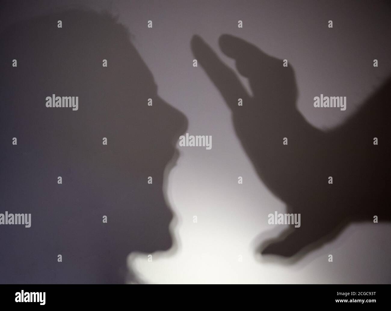 Shadows battered woman, gender violence and crime, symbol Stock Photo